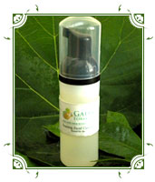 Gaia's Formula - Foaming Facial Cleanser